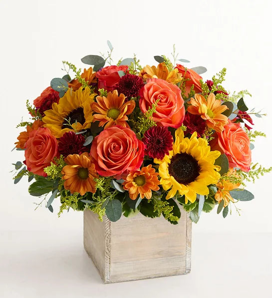 Harvest Glow – SHIRLEY'S FLOWERS & SWEETS, Nashua NH