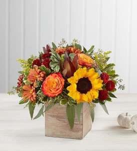 Harvest Glow – SHIRLEY'S FLOWERS & SWEETS, Nashua NH