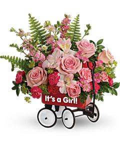 Baby Girl Wagon – SHIRLEY'S FLOWERS & SWEETS, Nashua NH