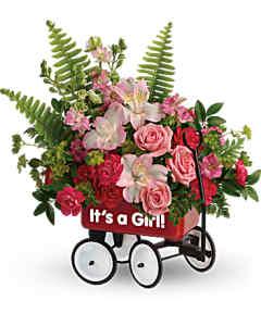 Baby Girl Wagon – SHIRLEY'S FLOWERS & SWEETS, Nashua NH
