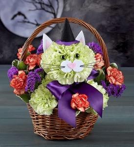 Purrrfect Potions Cat – SHIRLEY'S FLOWERS & SWEETS, Nashua NH