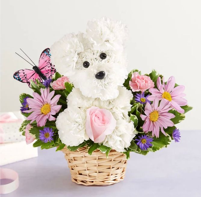 Precious Pup – SHIRLEY'S FLOWERS & SWEETS, Nashua NH