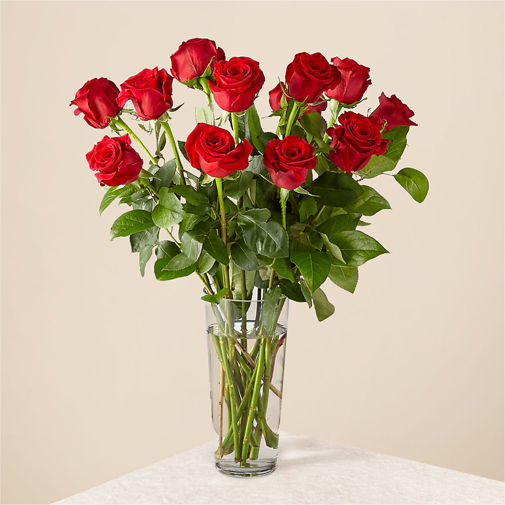 Long Stem Red Rose Bouquet – SHIRLEY'S FLOWERS & SWEETS, Nashua NH