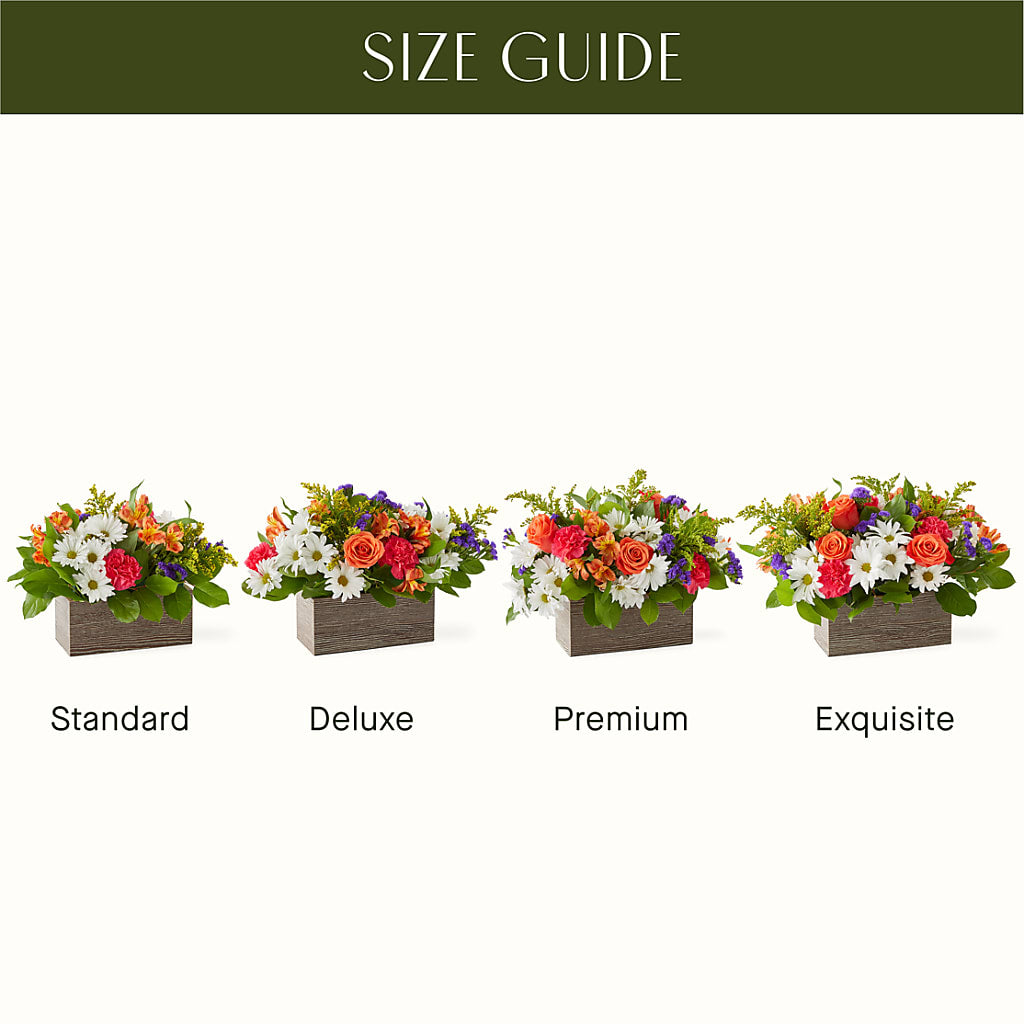 Oopsie Daisy Box Bouquet – SHIRLEY'S FLOWERS & SWEETS, Nashua NH