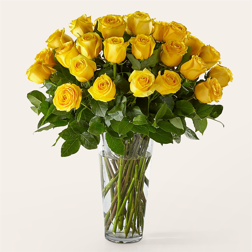 Long Stem Yellow Rose Bouquet – SHIRLEY'S FLOWERS & SWEETS, Nashua NH