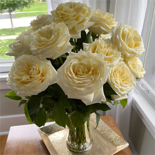 Long Stem Yellow Rose Bouquet – SHIRLEY'S FLOWERS & SWEETS, Nashua NH