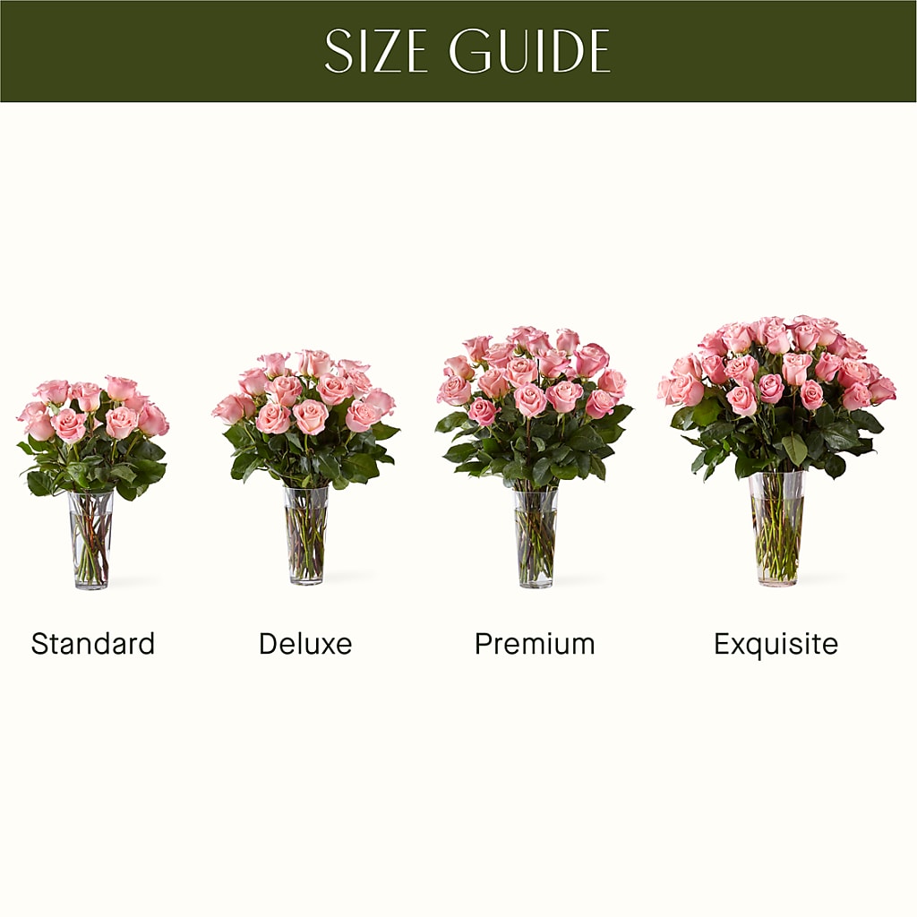 Long Stem Pink Rose Bouquet – SHIRLEY'S FLOWERS & SWEETS, Nashua NH