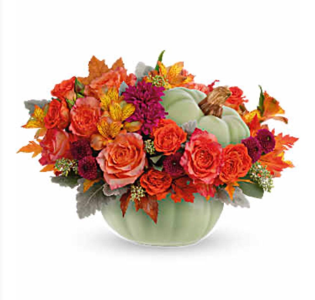 Sage Harvest Pumpkin – SHIRLEY'S FLOWERS & SWEETS, Nashua NH