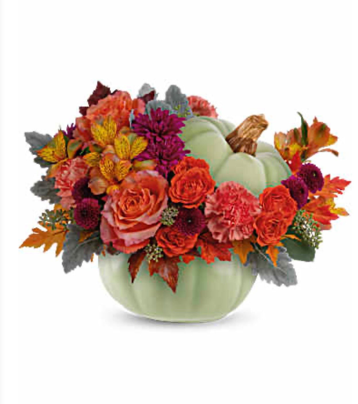 Sage Harvest Pumpkin – SHIRLEY'S FLOWERS & SWEETS, Nashua NH