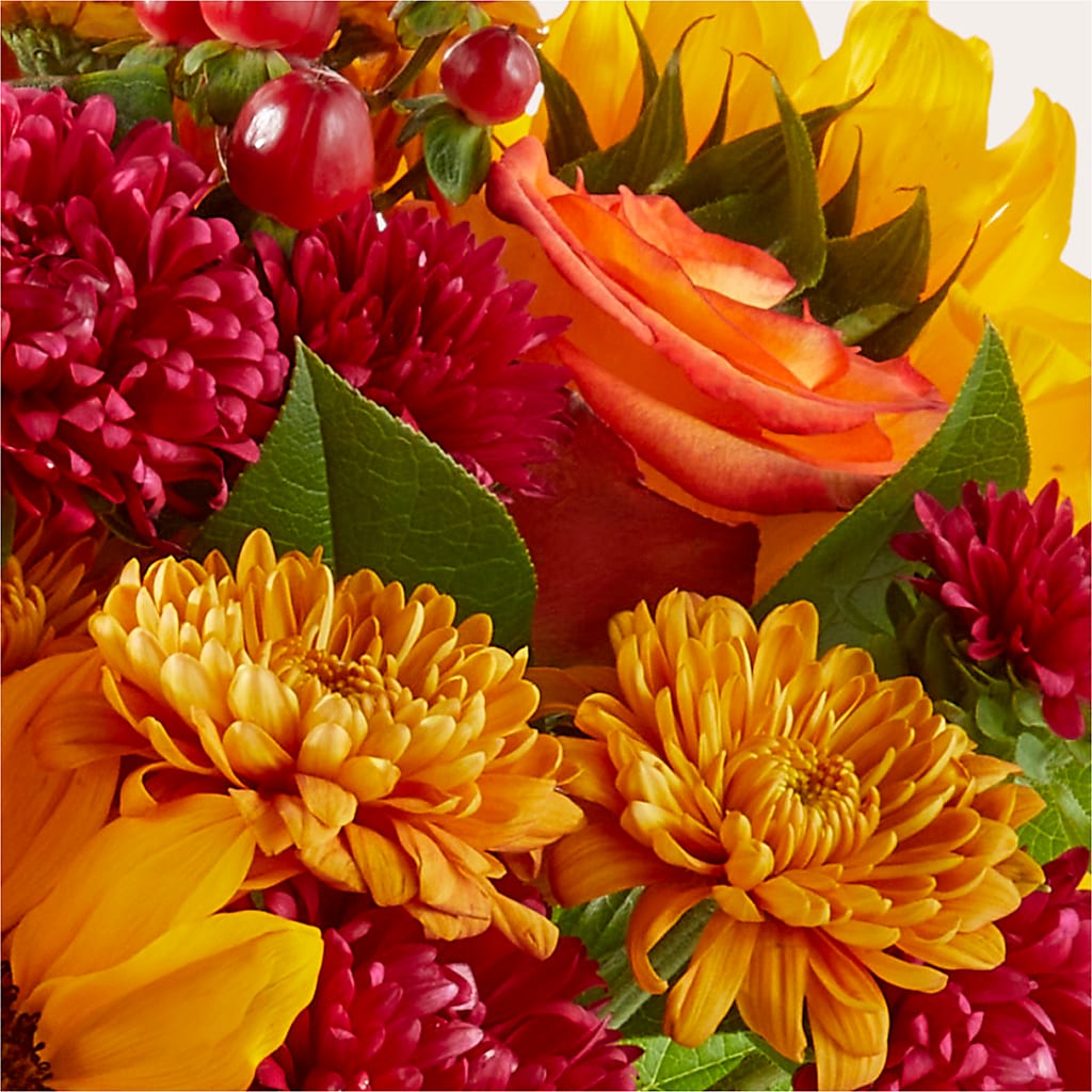 Sweater Season - A Florist Original – SHIRLEY'S FLOWERS & SWEETS, Nashua NH