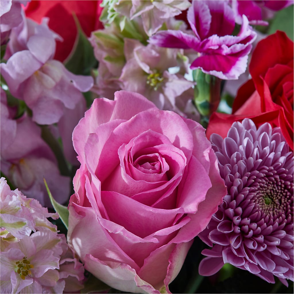 Better Together - A Luxury Florist Original – SHIRLEY'S FLOWERS & SWEETS, Nashua NH