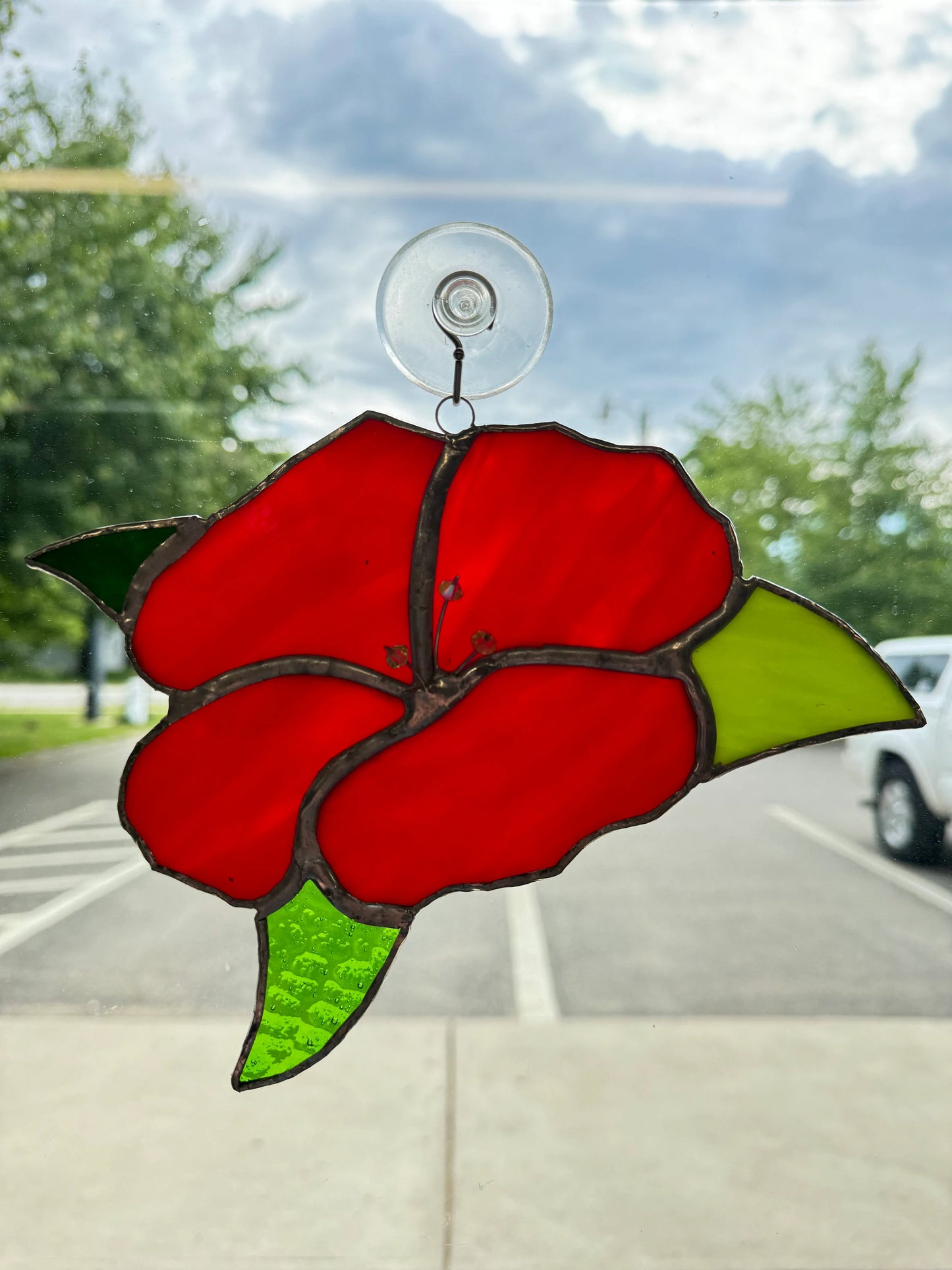 Stained Glass Hibiscus – SHIRLEY'S FLOWERS & SWEETS, Nashua NH