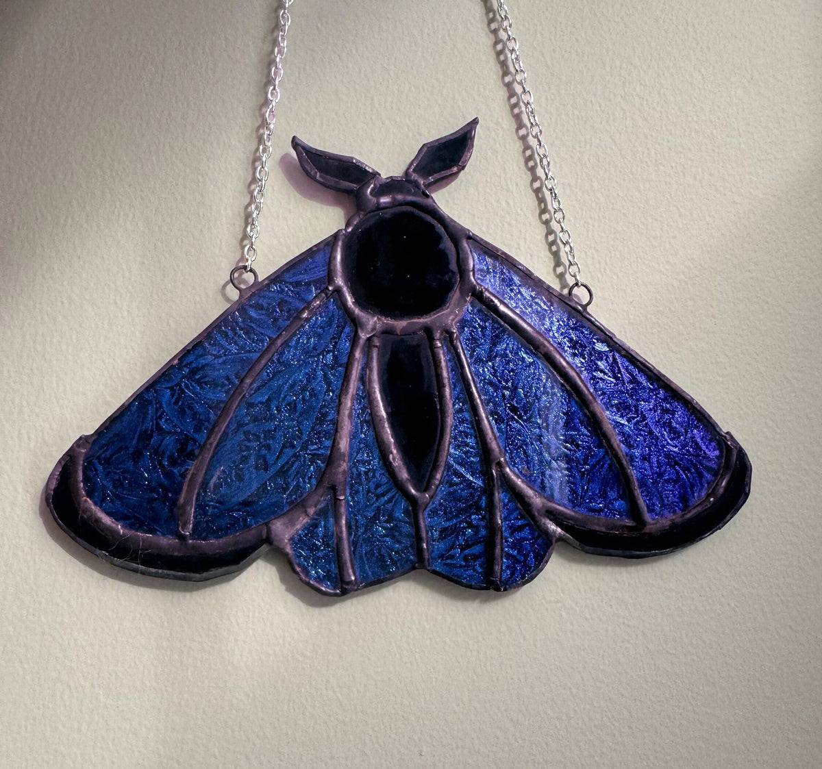 Stained Glass Moth – SHIRLEY'S FLOWERS & SWEETS, Nashua NH