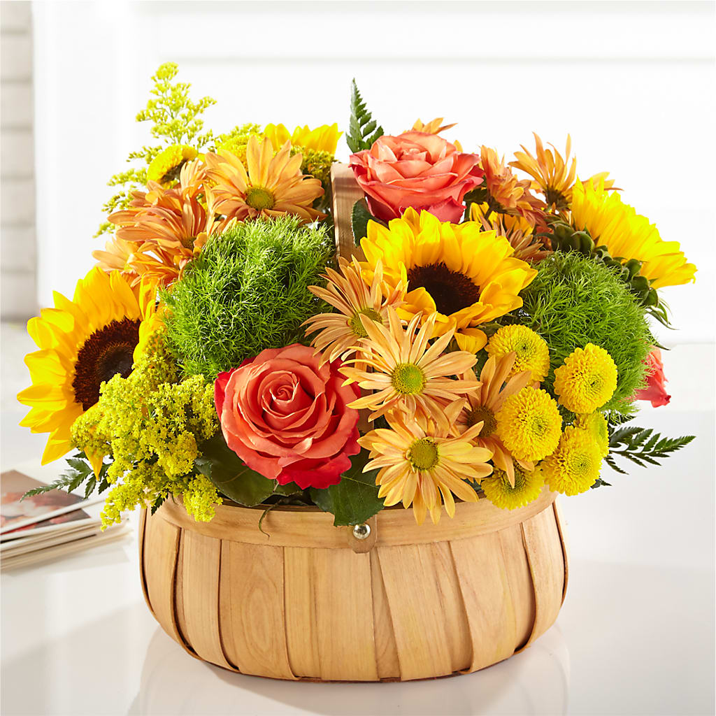 Harvest Sunflower Basket – SHIRLEY'S FLOWERS & SWEETS, Nashua NH