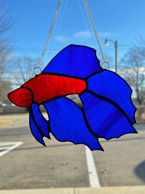Stained Glass Betta Fish – SHIRLEY'S FLOWERS & SWEETS, Nashua NH