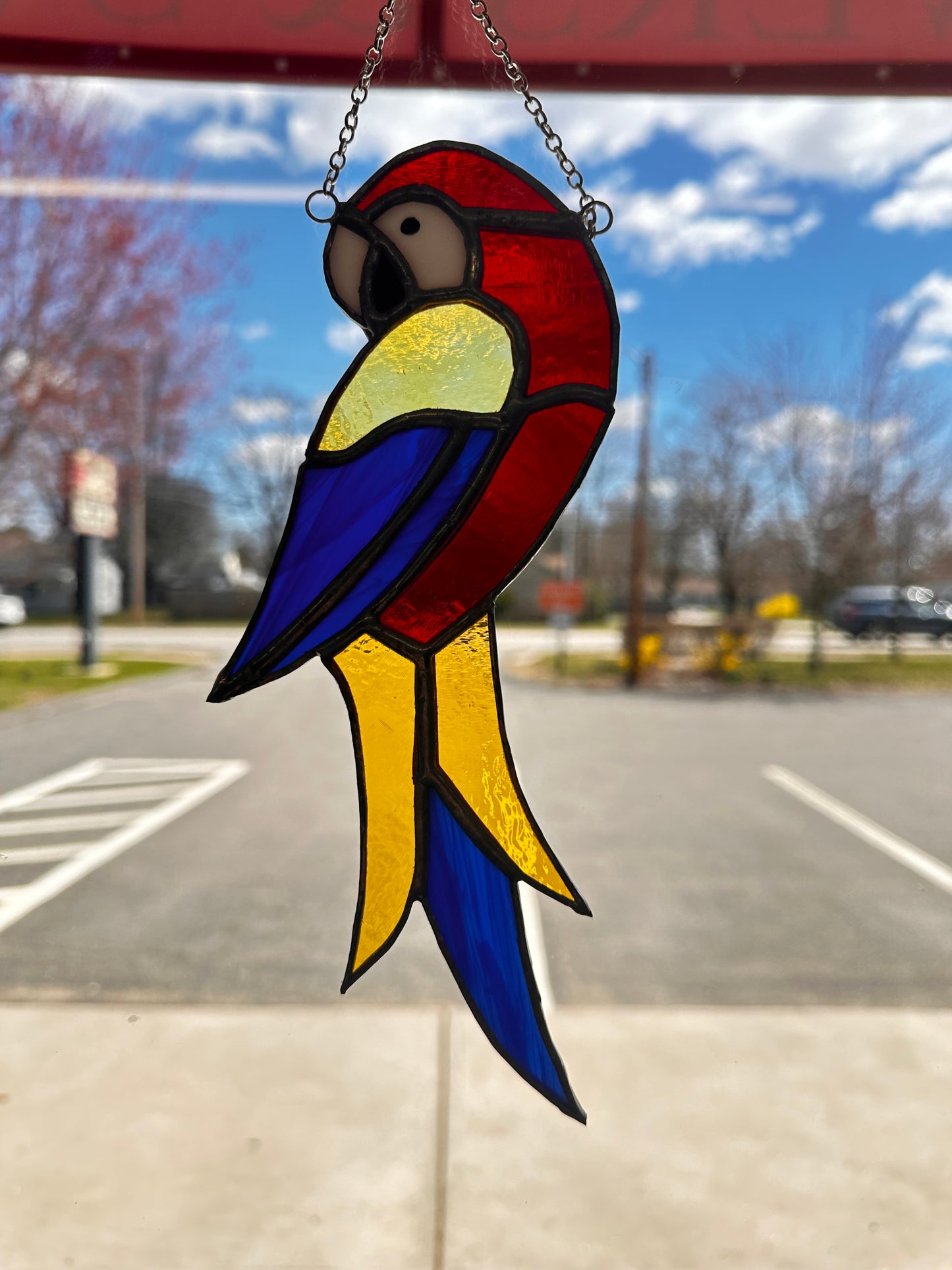 Stained Glass Macaw – SHIRLEY'S FLOWERS & SWEETS, Nashua NH