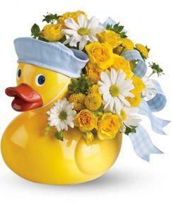 Ducky Delight Boy – SHIRLEY'S FLOWERS & SWEETS, Nashua NH