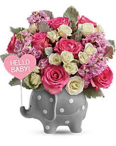 Hello Sweet Baby Girl