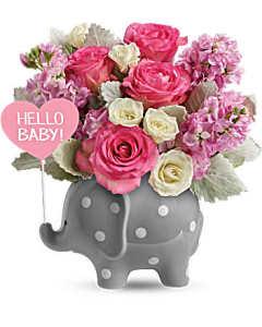 Hello Sweet Baby Girl – SHIRLEY'S FLOWERS & SWEETS, Nashua NH