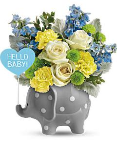 Hello Sweet Baby Boy – SHIRLEY'S FLOWERS & SWEETS, Nashua NH
