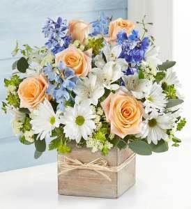 Coastal Days – SHIRLEY'S FLOWERS & SWEETS, Nashua NH