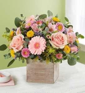 Spring Sentiments