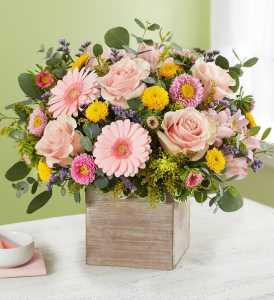 Spring Sentiments