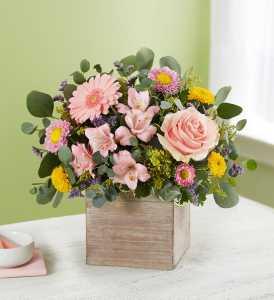 Spring Sentiments