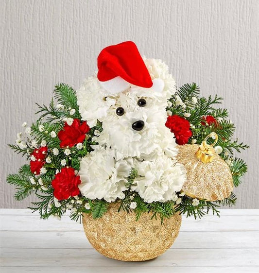 Santa Pup in Ornament