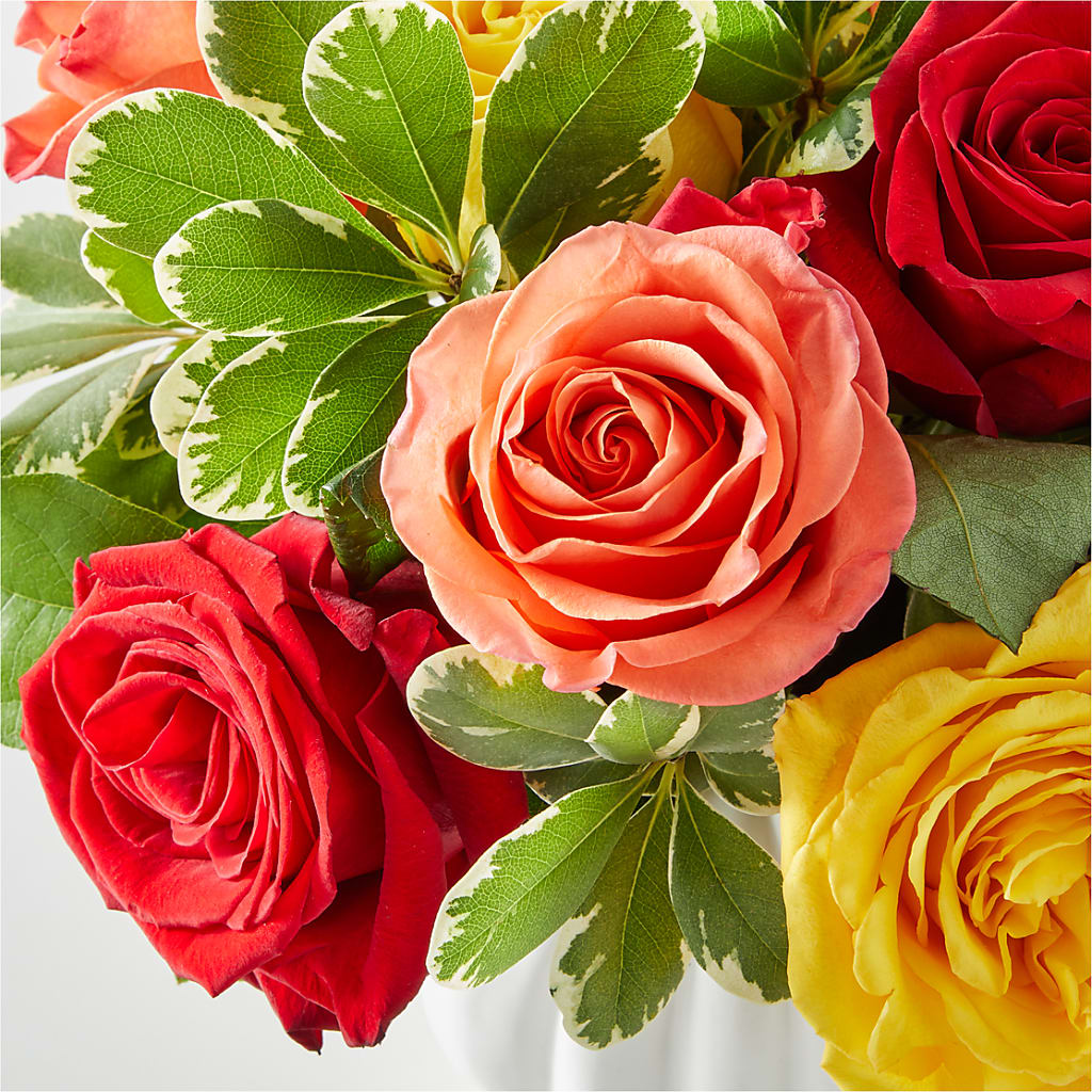 Gourd of Gratitude – SHIRLEY'S FLOWERS & SWEETS, Nashua NH