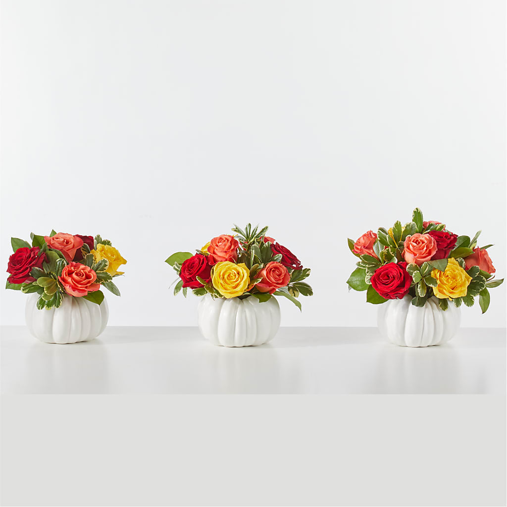 Gourd of Gratitude – SHIRLEY'S FLOWERS & SWEETS, Nashua NH