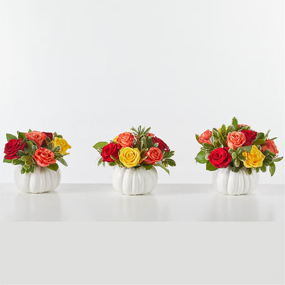 Gourd of Gratitude – SHIRLEY'S FLOWERS & SWEETS, Nashua NH