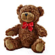 Adorable Plush Bear – SHIRLEY'S FLOWERS & SWEETS, Nashua NH