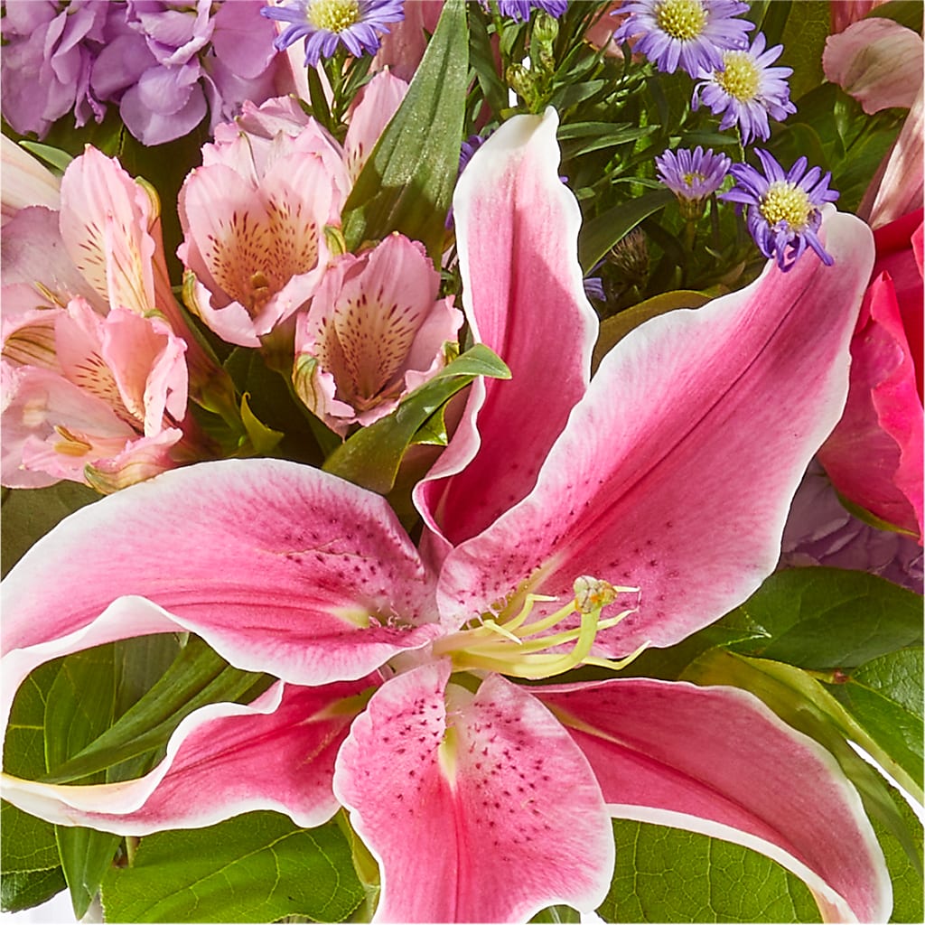 Written in the Stars Bouquet – SHIRLEY'S FLOWERS & SWEETS, Nashua NH