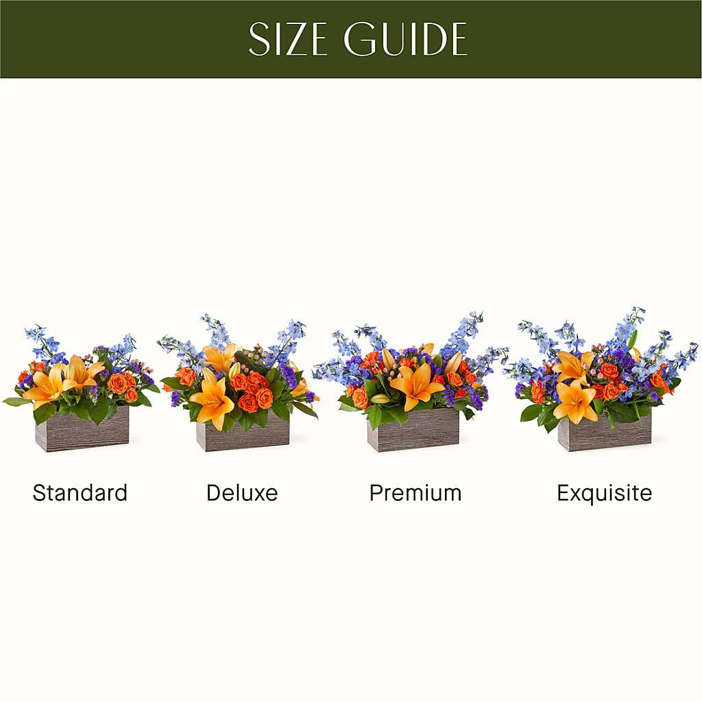 Radiant Citrus Box Bouquet – SHIRLEY'S FLOWERS & SWEETS, Nashua NH