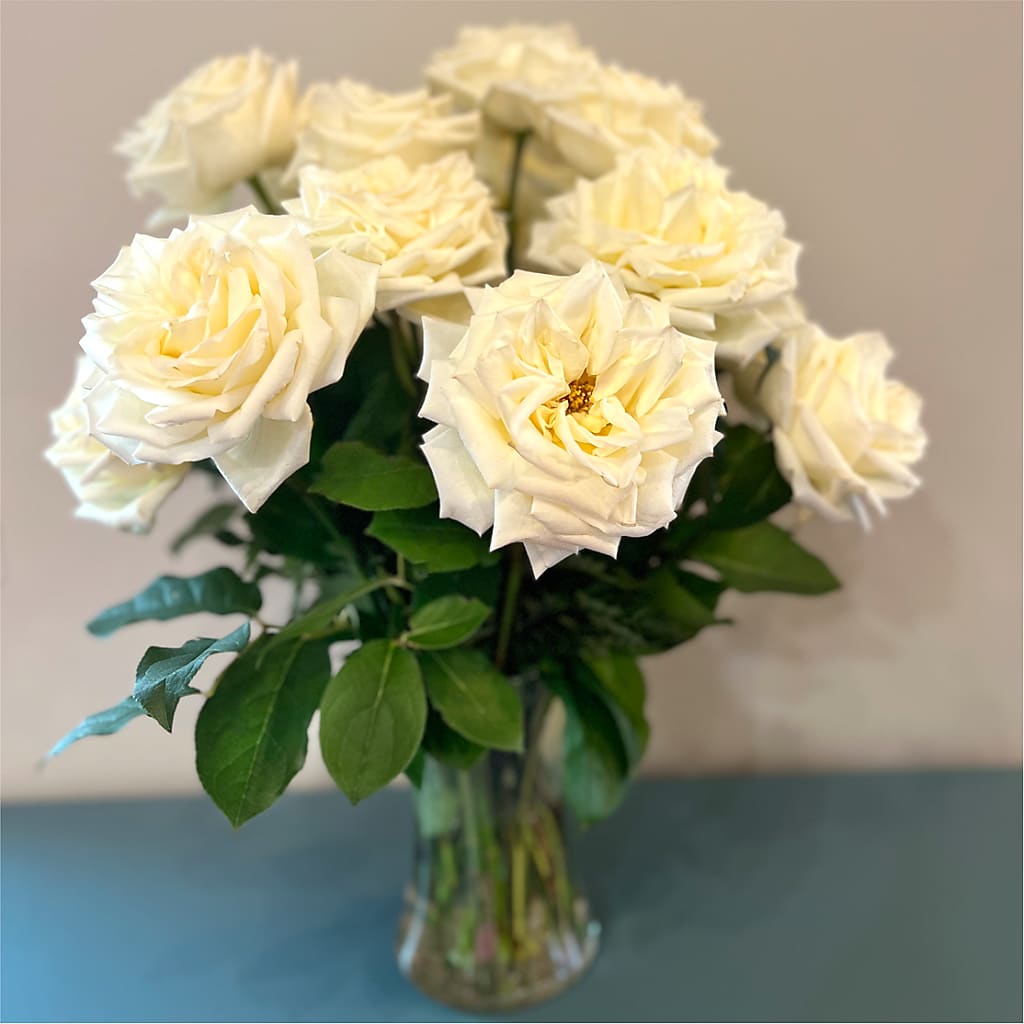 Long Stem Yellow Rose Bouquet – SHIRLEY'S FLOWERS & SWEETS, Nashua NH