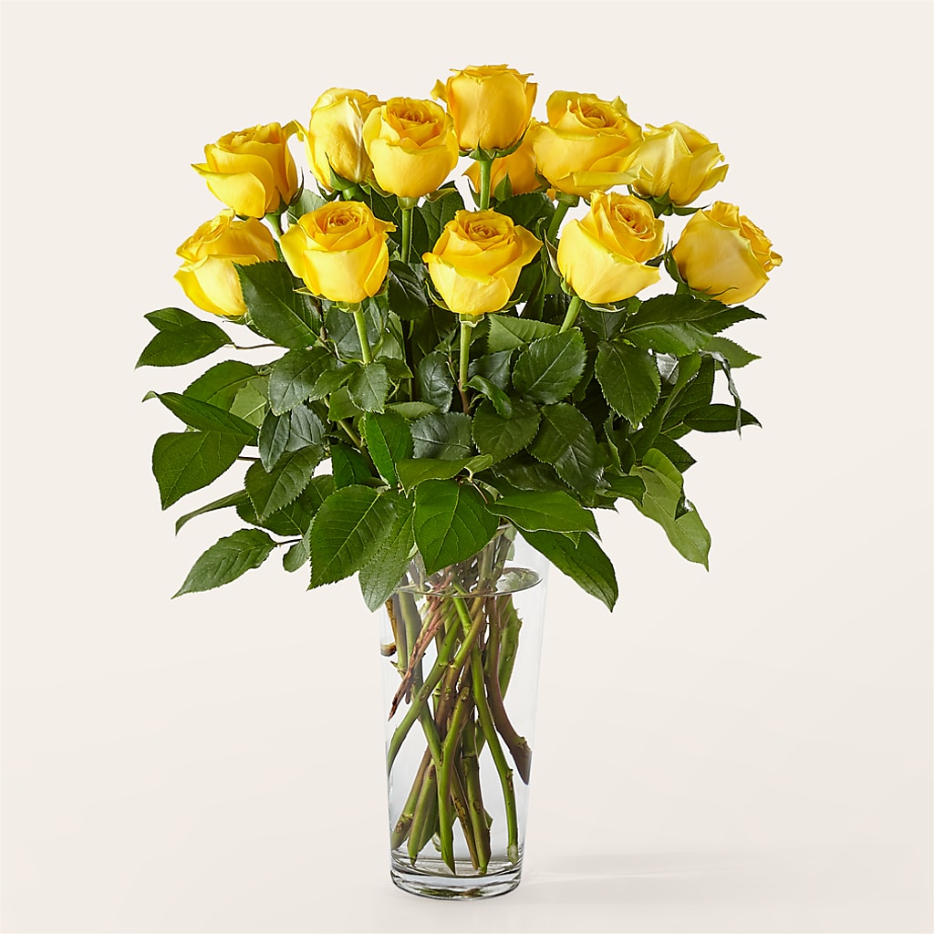 Long Stem Yellow Rose Bouquet – SHIRLEY'S FLOWERS & SWEETS, Nashua NH
