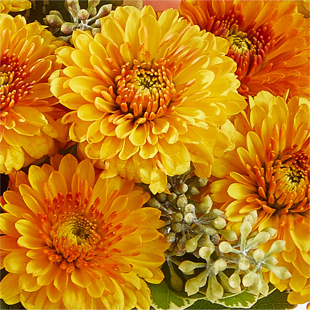 Peachy Pumpkin – SHIRLEY'S FLOWERS & SWEETS, Nashua NH