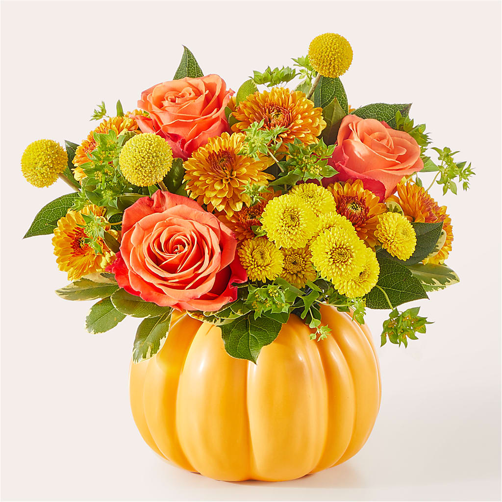 Gourdgeous Pumpkin – SHIRLEY'S FLOWERS & SWEETS, Nashua NH