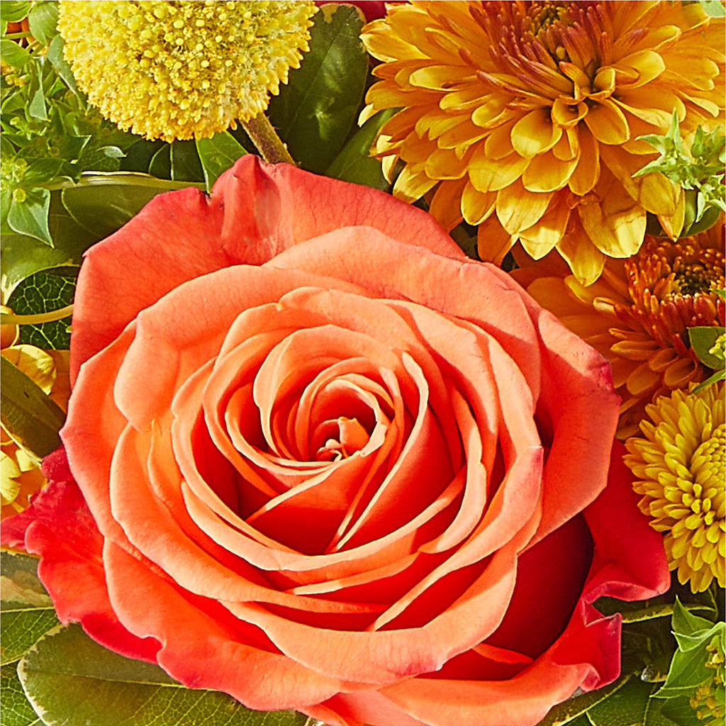 Gourdgeous Pumpkin – SHIRLEY'S FLOWERS & SWEETS, Nashua NH