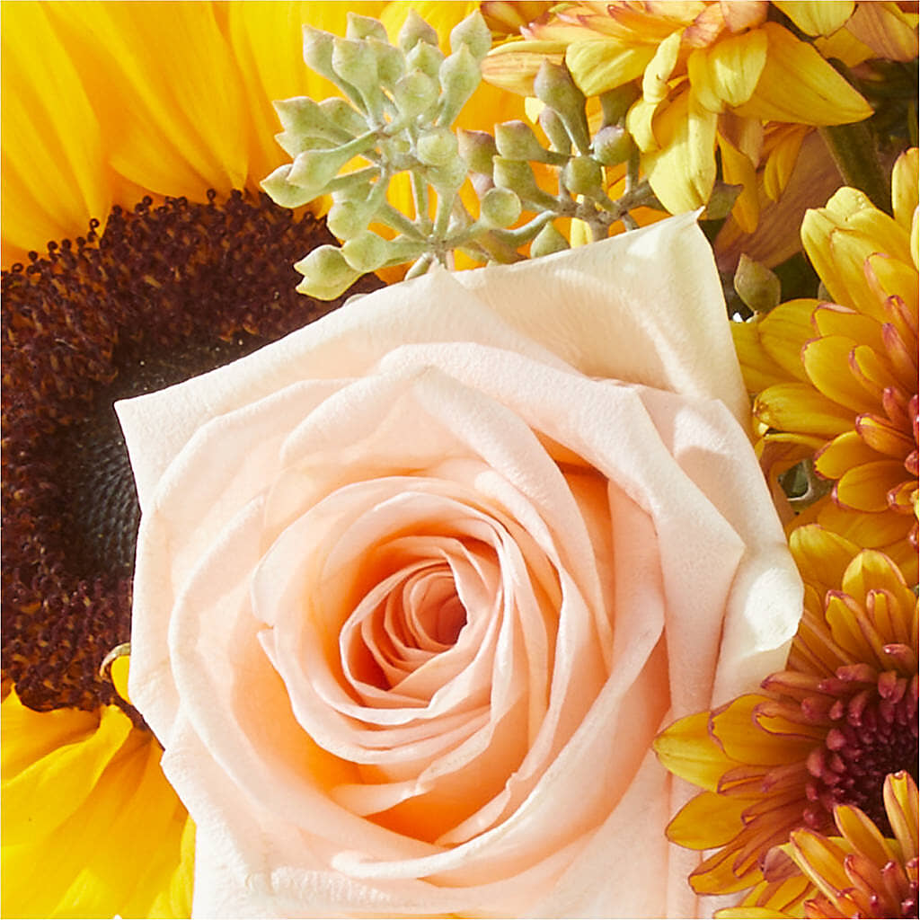 Pumpkin to Talk About Bouquet – SHIRLEY'S FLOWERS & SWEETS, Nashua NH