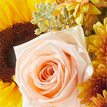 Pumpkin to Talk About Bouquet – SHIRLEY'S FLOWERS & SWEETS, Nashua NH