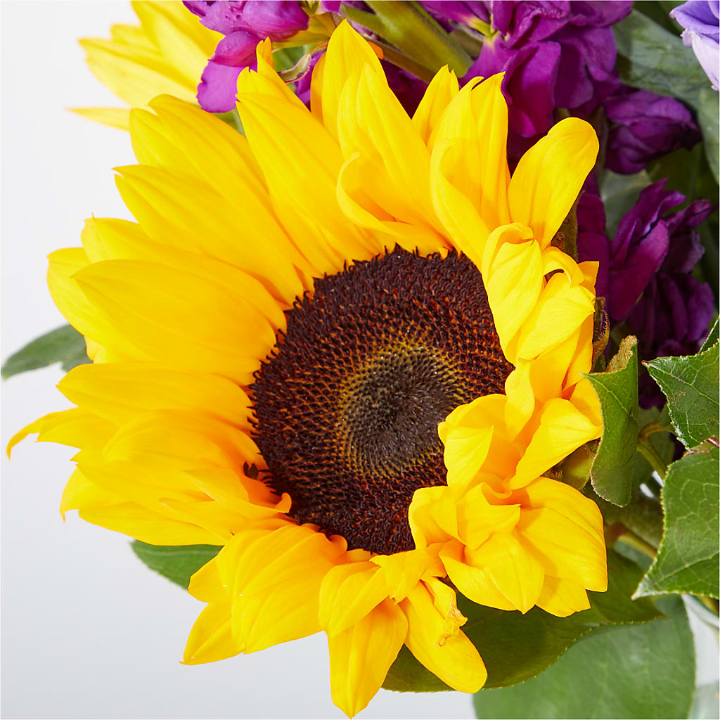 Catching Rays Bouquet – SHIRLEY'S FLOWERS & SWEETS, Nashua NH
