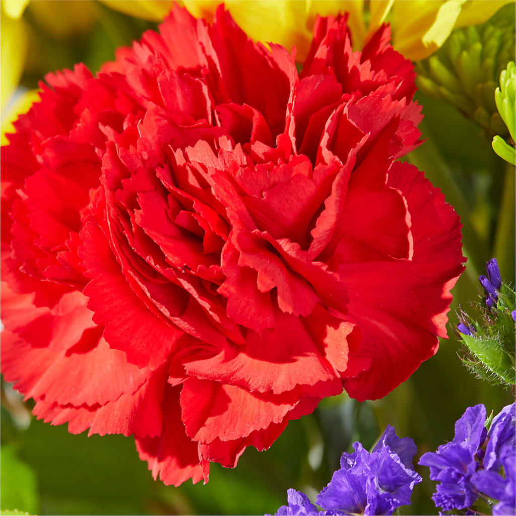Brighter Days Bouquet – SHIRLEY'S FLOWERS & SWEETS, Nashua NH