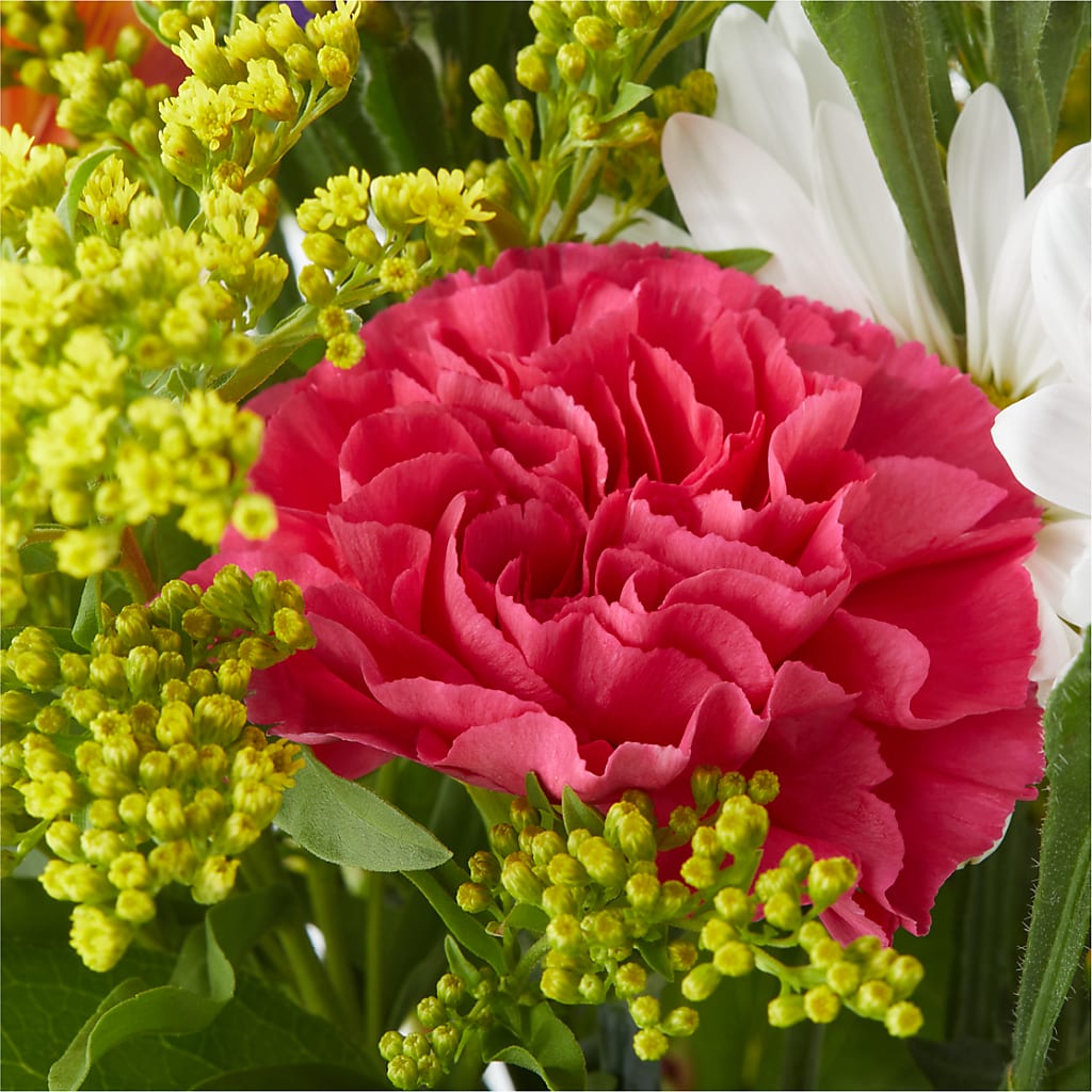 Oopsie Daisy Bouquet – SHIRLEY'S FLOWERS & SWEETS, Nashua NH