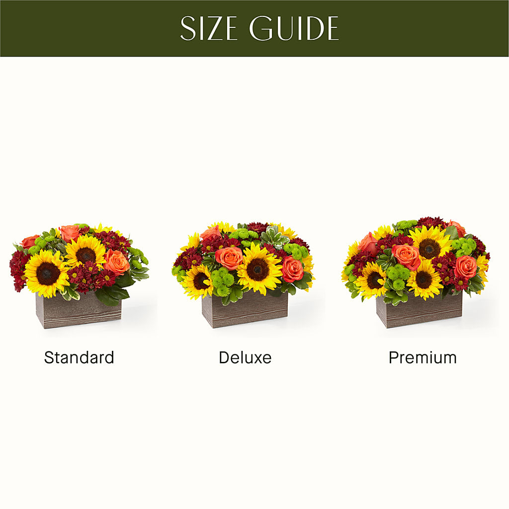 Happy Harvest Garden – SHIRLEY'S FLOWERS & SWEETS, Nashua NH