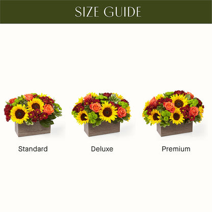 Happy Harvest Garden – SHIRLEY'S FLOWERS & SWEETS, Nashua NH