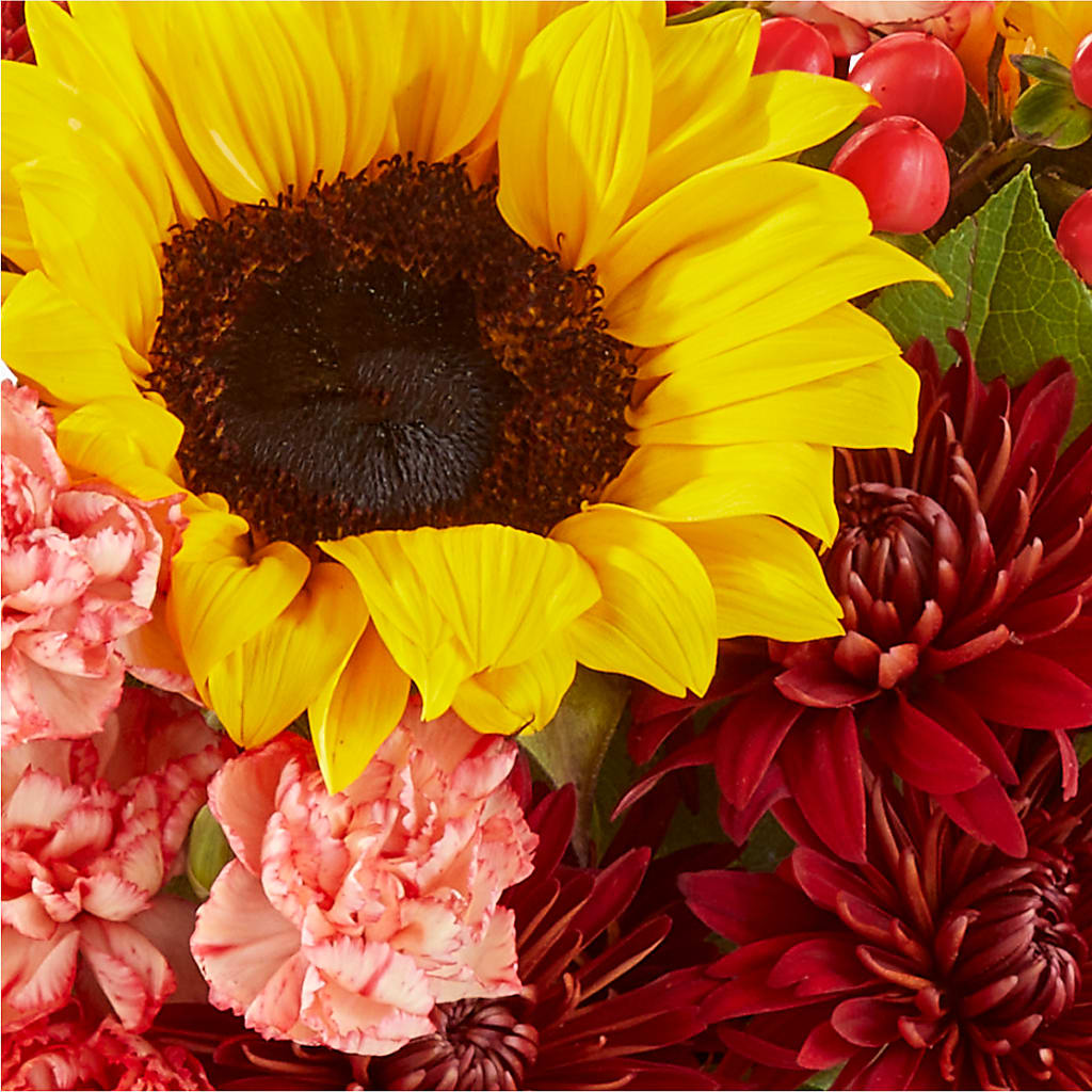 Fresh Cider Bouquet – SHIRLEY'S FLOWERS & SWEETS, Nashua NH
