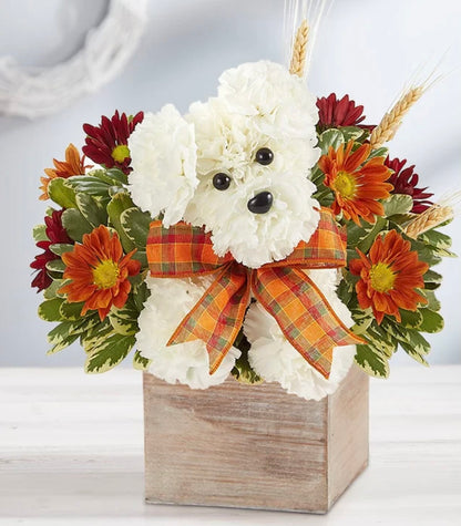 Adogable For Fall – SHIRLEY'S FLOWERS & SWEETS, Nashua NH