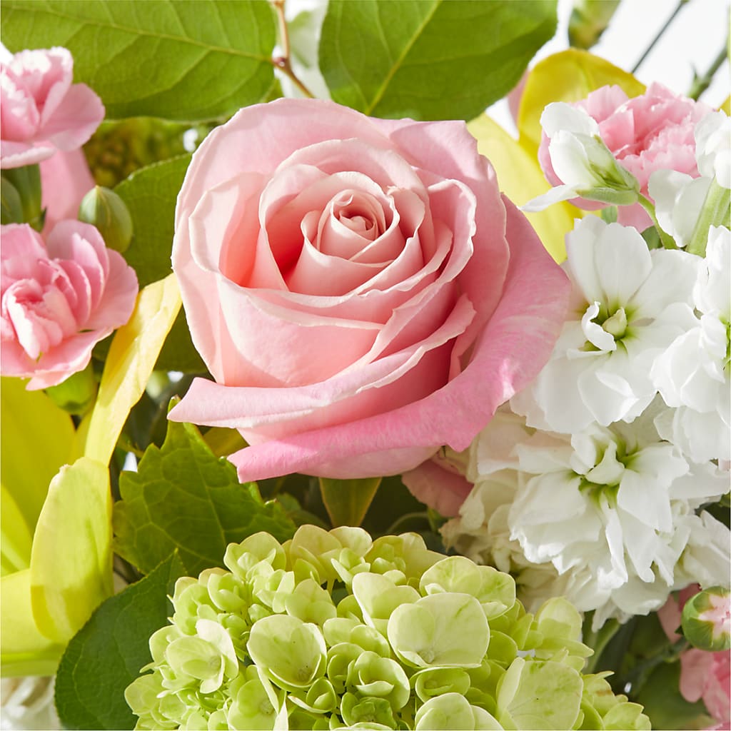 Garden Delight Bouquet – SHIRLEY'S FLOWERS & SWEETS, Nashua NH